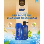 Dầu gội dược liệu Nguyên Vương Sảng Khoái - Ảnh 2