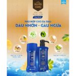 Dầu gội dược liệu Nguyên Vương Sảng Khoái - Ảnh 4