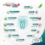 Kem đánh răng dược liệu Ngọc Châu chuyên gia - Ảnh 3