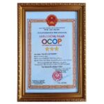 Trà Xạ Đen 30 túi lọc - Ảnh 3