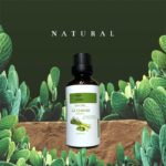 Tinh dầu Sả Chanh tươi mới thiên nhiên Lemongrass LIS MEC - Ảnh 3