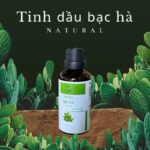 Tinh dầu Bạc Hà mát lạnh Peppermint LIS MEC - Ảnh 3