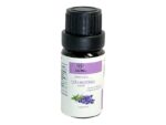 Tinh dầu Oải Hương nồng nàn Lavender LIS MEC