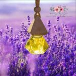 Tinh dầu Oải Hương nồng nàn Lavender LIS MEC - Ảnh 3