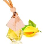 Tinh dầu Ngọc Lan Tây dịu dàng YLang YLang LIS MEC - Ảnh 3